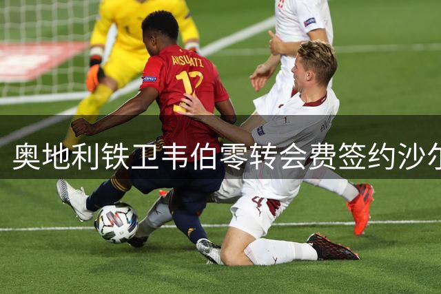 奥地利铁卫韦伯零转会费签约沙尔克 将补强升班马后防